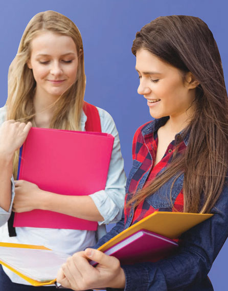 Stepfamilies and schools